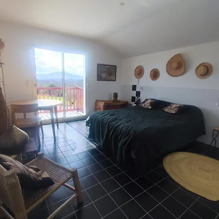 Basque Contemporaine Avec Piscine Privee Et Parking A 15 Min De Biarritz - Fr-1-239-1029